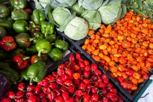 Benefits of Organic Snacks for Families Benefits of Organic Snacks for Families